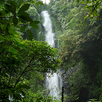 Photo de Bali - Autour de Munduk